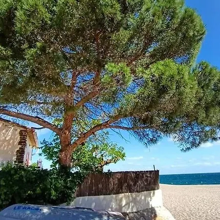 3 Pieces Renove - Acces Direct - 6 Pers - Fr-1-776-36 Διαμέρισμα Argelès-sur-Mer