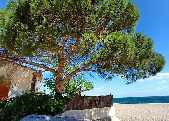 3 Pieces Renove - Acces Direct - 6 Pers - Fr-1-776-36 Apartmán Argelès-sur-Mer